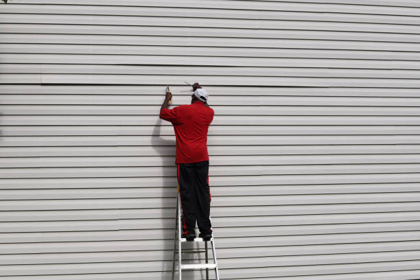 Best Vinyl Siding Installation  in Kenbridge, VA